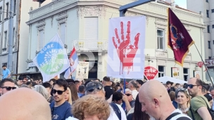 Ružo rumena na Slaviji